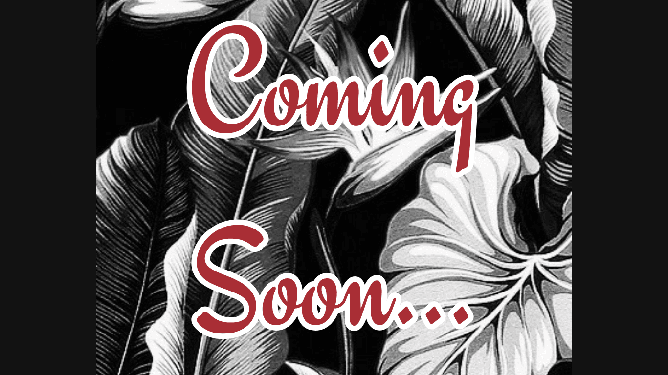 Coming Soon.. - Lorelei's Vintage
